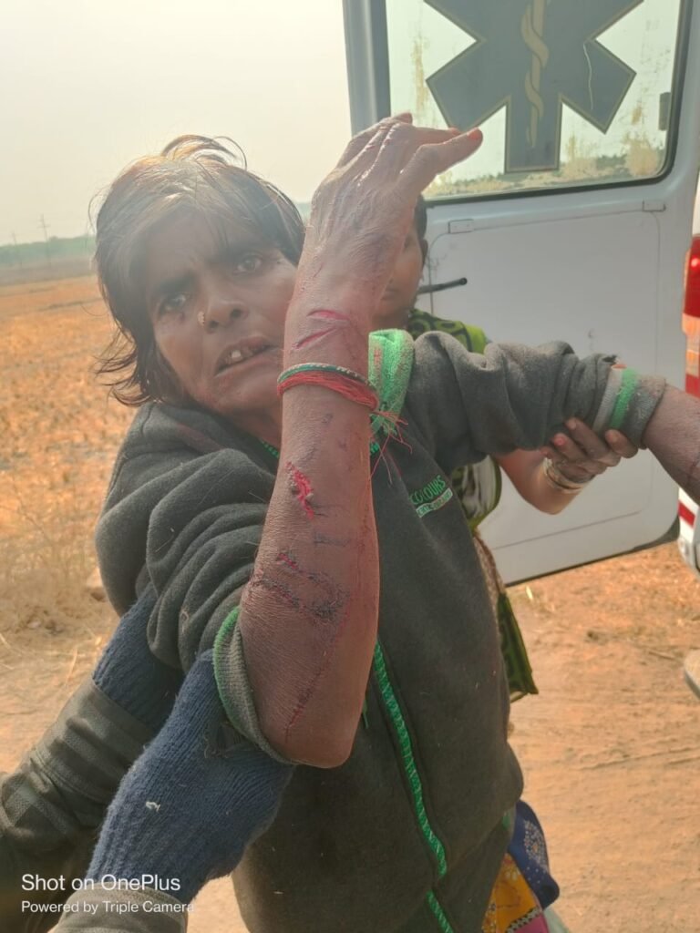 సంజీవపురంలో చిరుతపులి సంచారం