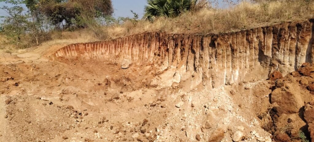 ఎర్ర పట్టి తరలిస్తున్న వారిపై కఠిన చర్యలు తీసుకోవాలి