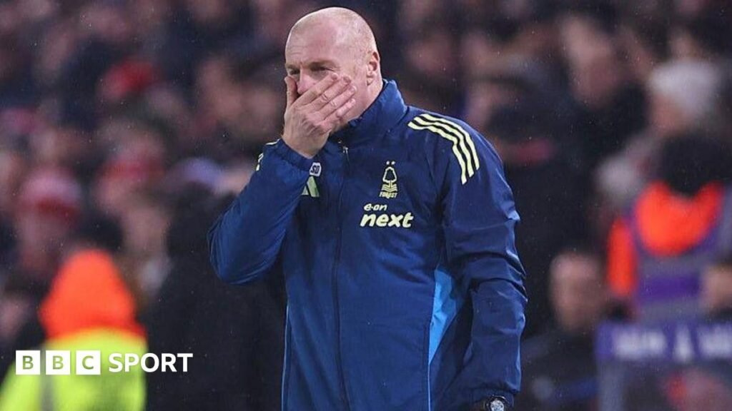 నాటింగ్‌హామ్ ఫారెస్ట్: సమస్యలు లేదా పరిష్కారాలు? సీన్ డైచే కింద అటవీ యుద్ధం