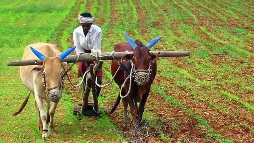 రైతులకు భారీ హోలీ గిఫ్ట్.. ఖాతాల్లోకి రూ. 10 వేల కోట్లు.. | ఛత్తీస్‌గఢ్ రైతుల బిగ్ బూస్ట్: రూ. క్రుషక్ ఉన్నతి యోజన కింద 10,000 కోట్ల వరి ధర సబ్సిడీ!