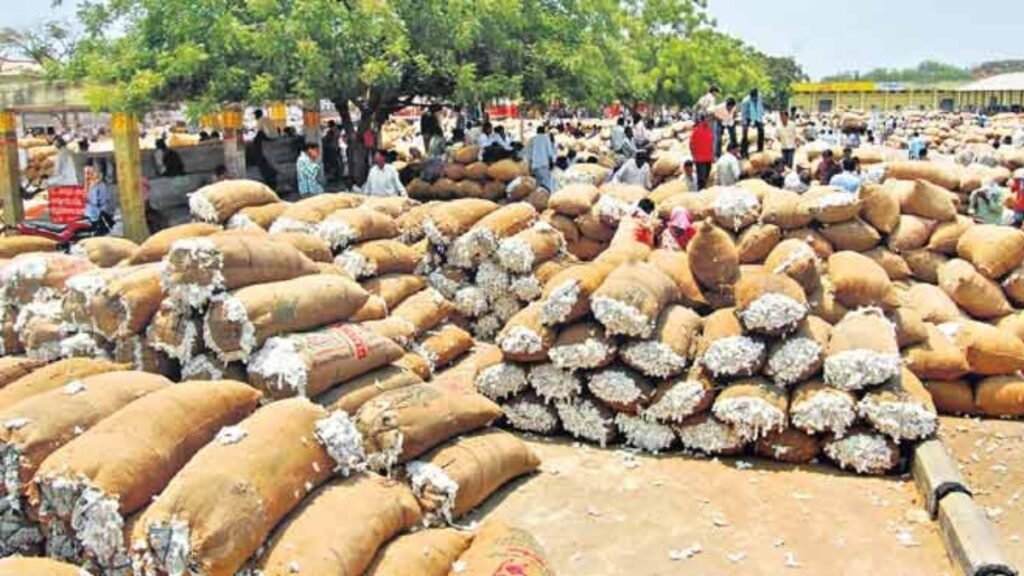 రైతులకు కీలక హెచ్చరిక.. రేపాటి నుండి అవి బంద్! | రైతులకు అప్రమత్తం.. రేపటి నుంచి సీసీఐ మూసివేత పత్తి కొనుగోలు తెలంగాణలో దాదాపు 148 లక్షల క్వింటాళ్ల పత్తిని సీసీఐ కొనుగోలు చేసింది.