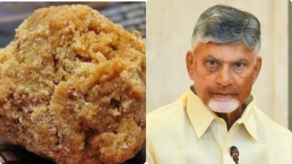 కల్తీ నెయ్యిపై ఏపీ సర్కార్ కీలక నిర్ణయం-ఉత్తర్వులు జారీ..!