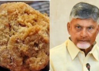 కల్తీ నెయ్యిపై ఏపీ సర్కార్ కీలక నిర్ణయం-ఉత్తర్వులు జారీ..!