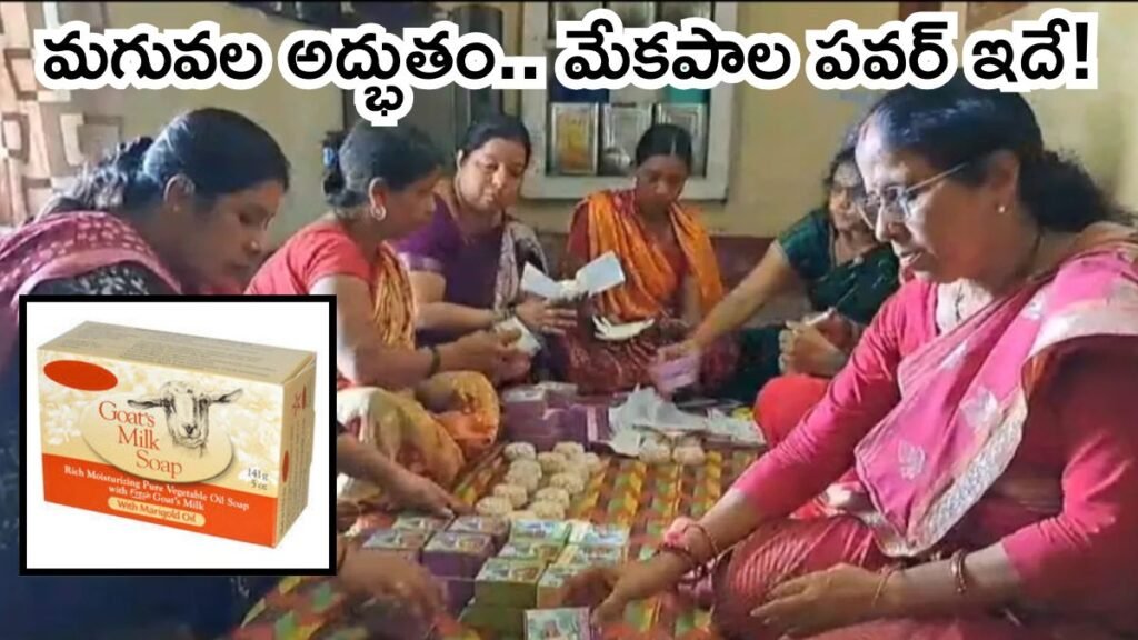 చర్మ సౌందర్యానికి గోట్ మిల్క్ సోప్, గిరాకీ మామూలుగా లేదు! | మేక పాలు నుండి సహజ సౌందర్యం వరకు: ముంగేరులో గ్రామీణ మహిళలు లాభదాయకమైన సబ్బు వ్యాపార సామ్రాజ్యాన్ని ఎలా నిర్మిస్తున్నారు