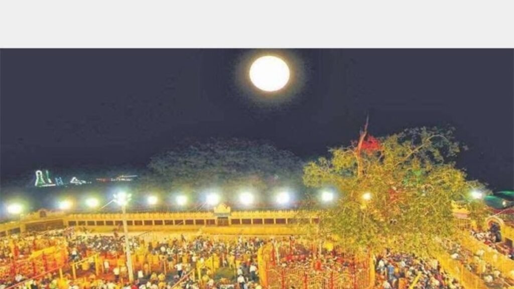 అమెరికాలో సమ్మక్క, సారక్క జాతర.. మామూలుగా లేదుగా.. వైరల్ వీడియో! | అమెరికాలో సమ్మక్క సారలమ్మ జాతర పేరుతో కొందరు యువకులు చేసిన మేడారం జాతర వైరల్‌ అవుతోంది.