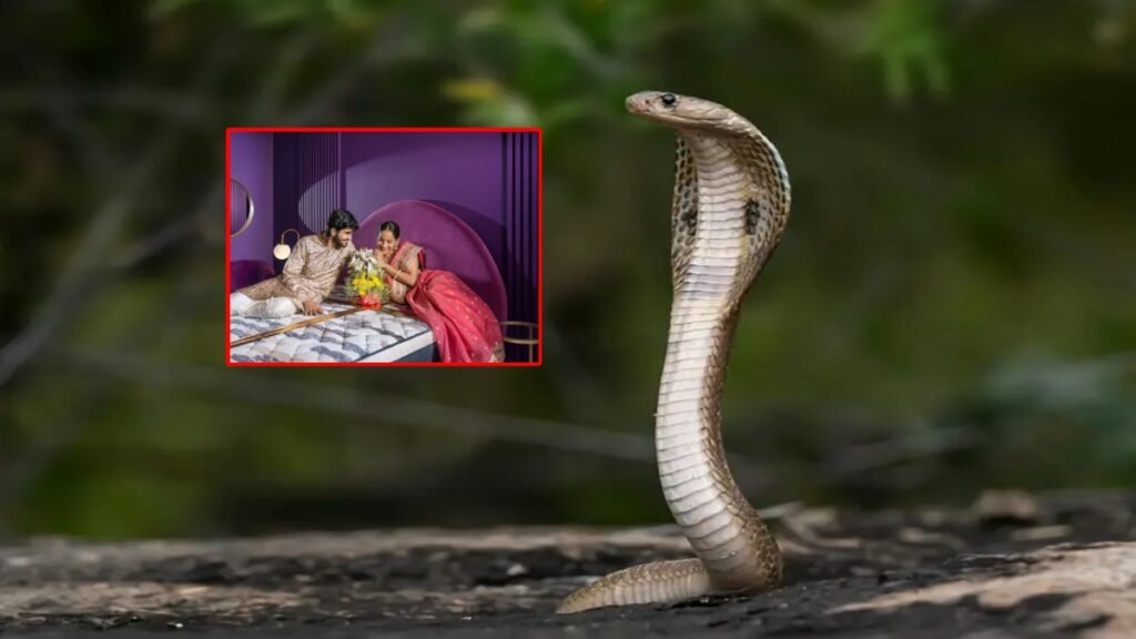 భర్తకు షాక్.. తెల్లారి లేచేసరికి భార్య ప్లేస్ లో పాము కుబుసం.. ఏం జరిగింది..? | ఉత్తరప్రదేశ్‌లో నాగిన్ డ్రామా మహిళ మంచంపై పాము చర్మాన్ని వదిలి, ప్రేమికుడితో పెళ్లిని తప్పించుకుంది