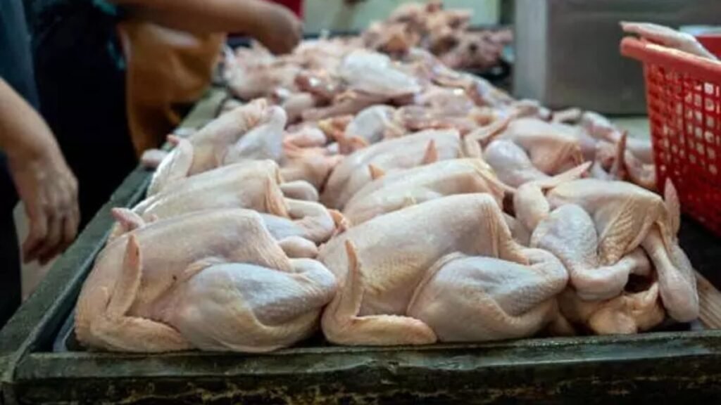 ఆదివారం విశాఖలో నాన్‌వెజ్ ప్రియులకు బ్యాడ్‌న్యూస్! | ఫిబ్రవరి 15న జరగనున్న మహాశివరాత్రి వేడుకల కారణంగా ఆదివారం విశాఖపట్నంలోని నాన్ వెజ్ ప్రియులకు చేదువార్త.