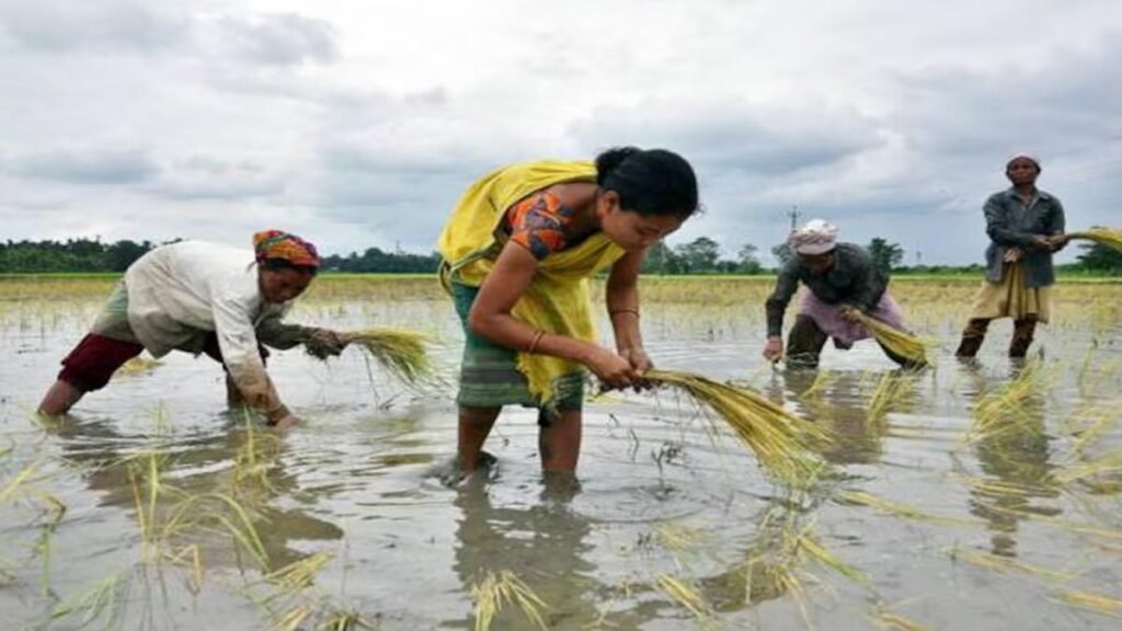 రైతు భరోసాపై రేవంత్ సర్కార్ శుభవార్త! | రైతు భరోసా నిధులు ఫిబ్రవరి 17న విడుదల.. విజయ జోష్‌తో రేవంత్‌రెడ్డి ప్రభుత్వం శుభవార్త