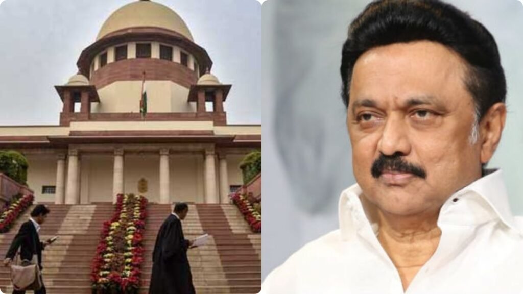 తమిళనాడు: స్టాలిన్‌కు సుప్రీంకోర్టు షాక్- తమిళనాడులో ఏంటి సంస్కృతి ? | తమిళనాడు ఫ్రీబీస్ అండర్ ఫైర్: సుప్రీం కోర్ట్ రాష్ట్ర ఎన్నికల ముందు సంస్కృతిని ప్రశ్నించింది