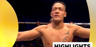 MMA: PFL మిడిల్ వెయిట్ టైటిల్ను కాపాడుకోవడానికి కాస్టెల్లో వాన్ స్టీనిస్ ఫాబియన్ ఎడ్వర్డ్స్ను ఓడించాడు – ముఖ్యాంశాలు