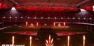 వెల్ష్ రగ్బీ సంక్షోభం: క్రంచ్ WRU EGM ఓటు ఏప్రిల్లో జరగనుంది