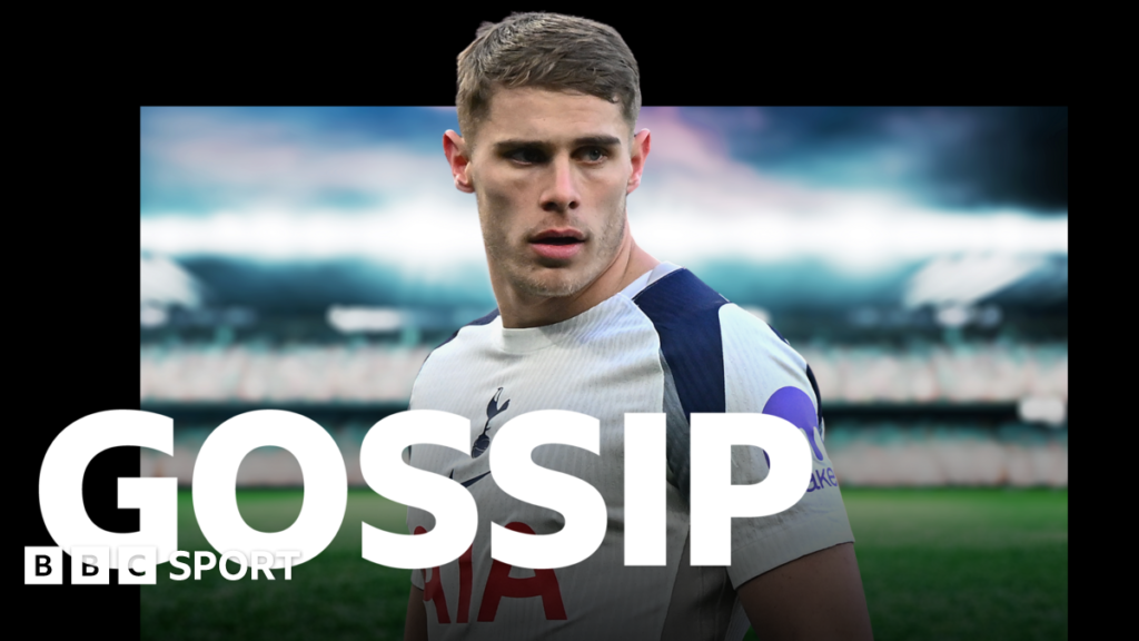 ఫుట్‌బాల్ గాసిప్: వాన్ డి వెన్, ఫెర్నాండెజ్, కోలో మువాని, విల్సన్, మౌంట్, వ్లహోవిక్, లైమర్