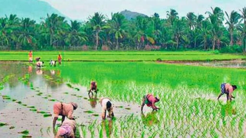 దేశంలోనే టాప్ లో ఏపీలో అన్నదాతల అప్పులు.. కేంద్రం లెక్క ఇదే! | ఏపీ రైతులు అప్పుల ఊబిలో కూరుకుపోయారు. కేంద్ర గణాంకాల ప్రకారం రైతుల అప్పుల్లో ఏపీ రైతులు రెండో స్థానంలో ఉన్నారు