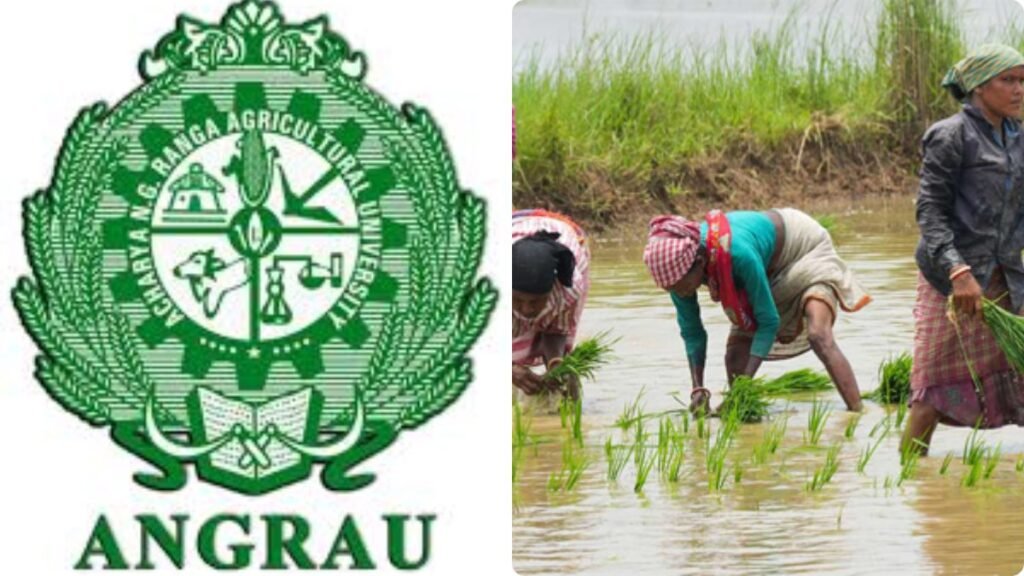 ఏపీలో రైతులకు అలర్ట్-ఎన్టీరంగా వ్యవసాయ యూనివర్శిటీ కీలక సూచనలు..! | ఆంధ్ర రైతులకు హెచ్చరిక: NG రంగా అగ్రికల్చర్ విశ్వవిద్యాలయం వాతావరణ పరిస్థితులను అంచనా వేసింది