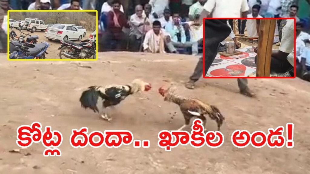 ఖాకీల నీడలో జూదశాల.. కీకారణ్యంలో కోట్ల దందా! | ములుగు అటవీ ప్రాంతంలో గ్యాంబ్లింగ్ మాఫియా, తెలంగాణ సరిహద్దులో కోట్ల విలువైన బెట్టింగ్ రాకెట్