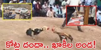 ఖాకీల నీడలో జూదశాల.. కీకారణ్యంలో కోట్ల దందా! | ములుగు అటవీ ప్రాంతంలో గ్యాంబ్లింగ్ మాఫియా, తెలంగాణ సరిహద్దులో కోట్ల విలువైన బెట్టింగ్ రాకెట్