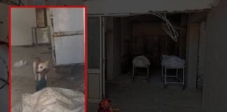 మృతదేహాన్ని పీక్కుతిన్న కుక్క.. మార్చరీలో ఒళ్లు గగుర్పొడిచే ఘటన | జడ్చర్ల ప్రభుత్వాసుపత్రిలో దారుణ ఘటన: మార్చురీలో మృత దేహంపై వీధికుక్కల విందు