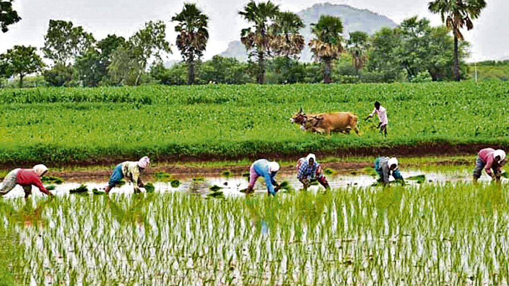 రైతు భరోసా నిధులు జమ విషయంలో లేటెస్ట్ అప్‌డేట్! | రైతు భరోసా సొమ్ముపై ఉత్కంఠ, రేవంత్‌రెడ్డి ప్రభుత్వం నుంచి స్పష్టత కోరిన తెలంగాణ రైతులు