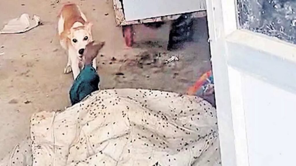 మార్చురీలో మృతదేహాన్ని కుక్కలు పీక్కుతిన్న ఘటనలో నలుగురు సస్పెన్షన్, మాజీమంత్రి ఫైర్! | జడ్చర్లలో మృత దేహాన్ని ఛిద్రం చేసిన ఘటనలో నలుగురు అధికారులను తెలంగాణ ప్రభుత్వం సస్పెండ్ చేసింది.